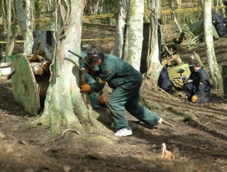  Tendrás que trabajar juntos 